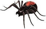 Wild Pets Spider - Creepster