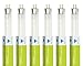 TriGlow (6 Pack) F8T5/CW 8W T5 12