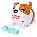 Chubby Puppies Single Pack Bulldog