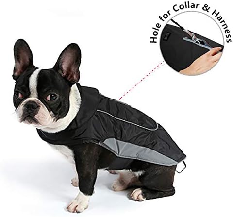 premium dog coats