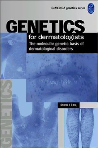 book trader of secrets a paul madriani