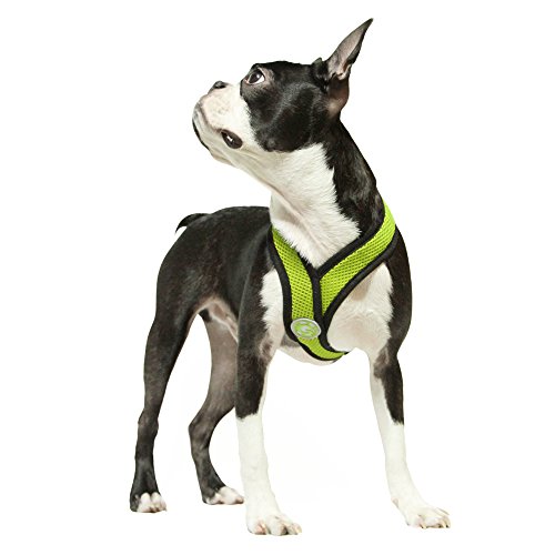 Gooby Choke Free X Frame Soft Harness with Micro Suede Trimming for Small Dogs, Medium, Green