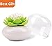 Bloss Q-Tips Holder Cotton Ball/Swab Organizer Lotus Shape Swab Cosmetic Storage&Toothpick Holder, Green