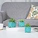 Set of 3 Rustic Style Turquoise Ceramic Floral Design Succulent Plant Pots/Mini Herb & Cacti Planters