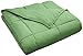 Superior Classic All-Season Reversible Down Alternative Comforter, Comfy, Fluffy, Cozy, Lightweight, Decorative, Duvet Insert, Plush, Oversized Bedding Essential, Box Quilt Design, Twin, Terrace Green