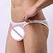 ManxiVoo Mens Sexy Perspective Underwear Shorts Underpants Pouch Soft Briefs Panties (L, White)