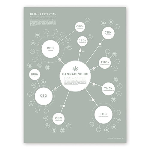 goldleaf Cannabinoid Infographic Chart Art Print, Medical Cannabis Effects Poster, Marijuana Decor, Designed (18x24)