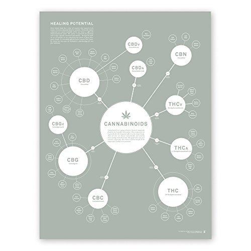 Goldleaf Cannabinoid Infographic Chart Art Print, Medical Cannabis Effects Poster, Marijuana Decor, Designed (18x24)