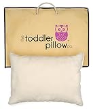 Toddler Pillow and Carrying Bag - 100% Organic Cotton Shell - Hypoallergenic - Pillow Made in USA - 13