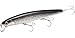 LUCKY CRAFT SW FlashMinnow 110, 765 MS Anchovy, Saltwater Fishing Lures, Jerkbait Surf Fishing Gear, Halibut and Bass Lures, Suspending Topwater Lure