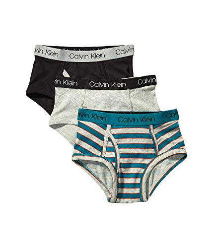 Calvin Klein Kids Boys' Modern Cotton Brief Underwear 3-Pack, Sea Green Stripe/…