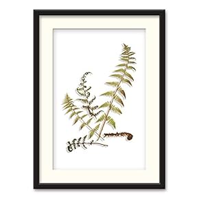 Black Paper Framed Canvas Wall Art for Living Room, Bedroom Simple Beautiful Leaves Canvas Prints for Home Decoration Ready to Hanging - 23x31 inches