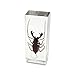 REALBUG Whip Scorpion Paperweight (4.4x1.6x1.1)