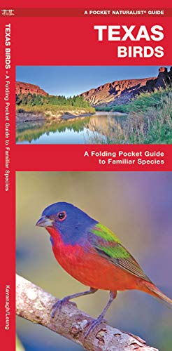 Texas Birds : A Folding Pocket Guide to Familia... B005W884C6 Book Cover
