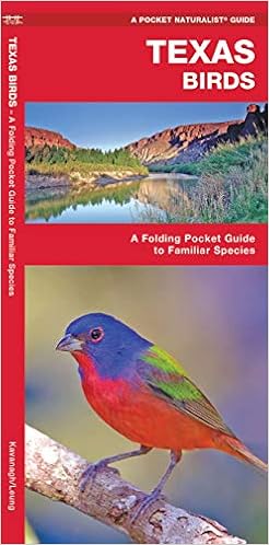 Texas Birds A Folding Pocket Guide To Familiar Species Wildlife And Nature Identification Kavanagh James Waterford Press Leung Raymond 9781583551189 Amazon Com Books