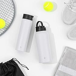 JoyJolt Triple Insulated Water Bottle with Straw