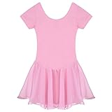 Arshiner Girls' Ruffle Sleeve Skirted Leotard,Pink,120 Pink(fba) 12(Age for 3-4Y)