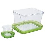 OXO Good Grips 5-1/2-Cup Lock Top Lunch Set, Green