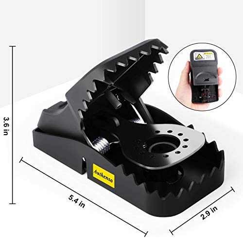 Rat Traps for House Rat Traps Outdoor Rat Trap That Work Mouse Traps No