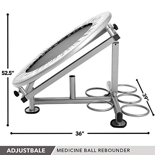 Medicine Ball Rebounder By Day 1 Fitness, Adjustable, Holdsup To 5