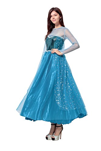 Ea3 Disney Frozen Inspired Queen Elsa Winter Dress Adult Costume |  Desertcart Gambia