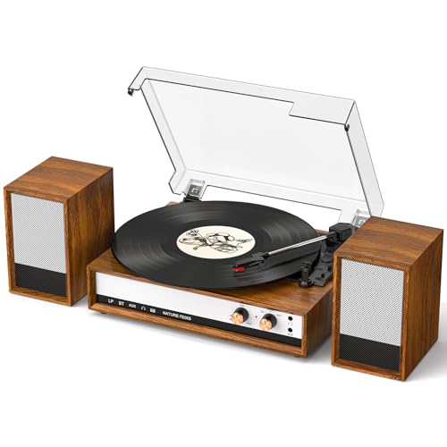 TANLANIN Vintage Vinyl Record Player