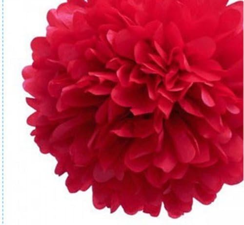 Funny Zakka - 6"-20" Pom Poms Tissue Paper Flowers For Celebrate Decoration (14" Red)- Fluffy Hanging Lantern Party/Wedding Blooms Ball in 15 colors (Pack of 4)