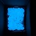 fdjiti home 300 Pcs Glow in The Dark Stones Luminous Pebbles Indoor Outdoor Deco Walkways | Halloween Xmas Party Decor Gardens Paths Yards Lawns Aquariums Plants House Christmas Parties | Bright Blue