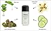 Raya Aloe Cucumber Astringent (202), Facial Toner for Dry and Sensitive Skin - Refreshing, Hydrating and Calming Formula, Gentle Pore Tightening Skincare, Cruelty, Paraben & Alcohol-Free, 8 fl oz