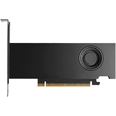 Amazon.com New Releases: The best-selling new & future releases in Computer Graphics  Cards