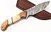 W Trading Custom hand made damascus steel blade gorgeous hunting knife with leather pouch. (2711)