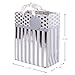 Hallmark Medium Gift Bag with Tissue Paper (Silver Stripes)