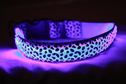 MyPaw LED Rechargeable Dog Collars (Medium, Light Blue) Adjustable Glow in The Dark Flashing Light, Stylish Leopard Print, Great Fun, Improved Dog Visibility and Safety