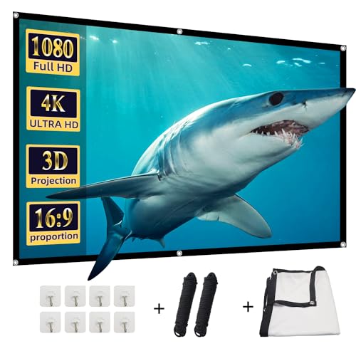Projector Screen