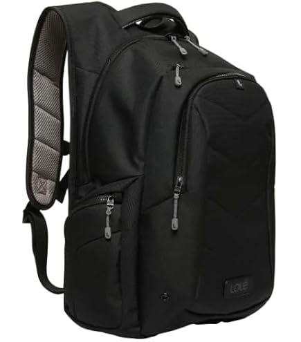 Padded backpack with laptop sleeve and multiple compartments