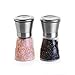 TheUltimateChef Stylish Salt and Pepper Grinder Set- Premium Spice Refillable Grinding Set- Adjustable Coarseness Ceramic Rotor, Glass Body & Brushed Stainless Steel- Buy Now And Get A FREE E-Book