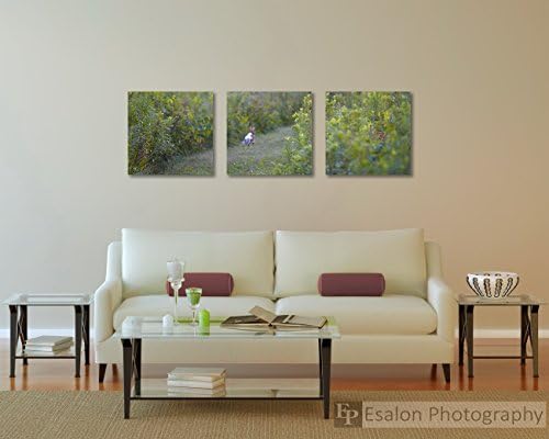 Bunny rabbit running along path, soft green color print wall art