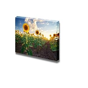 Canvas Prints Wall Art - Field of Sunflowers Under Blue Sunny Sky | Modern Wall Decor/Home Decoration Stretched Gallery Canvas Wrap Giclee Print & Ready to Hang - 12" x 18"