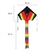 Rainbow Delta Kite, Easy Flyer, Long Tail Huge Flyer, for Kids and Adults, One of the Best Outdoor Activities for Kids, with Line and Handle