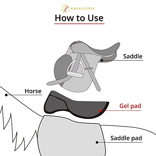 Kavallerie Saddle Pad Helps with Saddle Bridging, Sore Back, Swayed