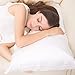 ALASKA BEAR Silk Pillowcase for Hair and Skin, Grade 6A 100% Mulberry Silk Pillow Cases King Size for Bliss Sleep with Random Color Scrunchy Set Better Than Poly Satin, 1pc, Natural Ivory White
