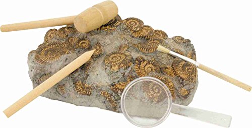 1 Ulysse+ERAS+Life+Excavation+Kit