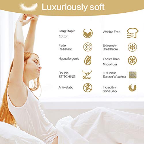 EMONIA 400TC 100 Pakistan Cotton Sheet White Queen Sheets Set, 4Piece LongStaple Cotton