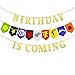 Ticiaga Game of Thrones Party Supplies, Birthday is Coming Banner Decoration for Iron Thrones Theme Party, House Sigil Banner Garland Party Favor for GOT Party Decoration, Birthday Banner