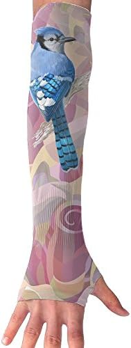 Blue Jay Bird Womens Unisex Cycling Sports Basketball Sleeves Anti Ultraviolet Radiation Arm Sleeve (A Pair Of Two)