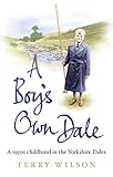 A Boy's Own Dale: A 1950s Childhood in the Yorkshire Dales by 