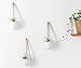 Mkono Ceramic Hanging Planter Succulent Air Plant Flower Pot Wall Decor, Set of 3