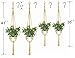 Macrame Plant Hanger Holder -4 Pack Handmade Indoor Outdoor Hanging Planter Basket Rope Holder with Ceiling Hook by Buyplus (Jute)