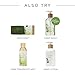Thymes Reed Diffuser - 6.5 Fl Oz – Eucalyptus