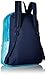 JanSport Superbreak Backpack- Sale Colors (Ocean Ombre)